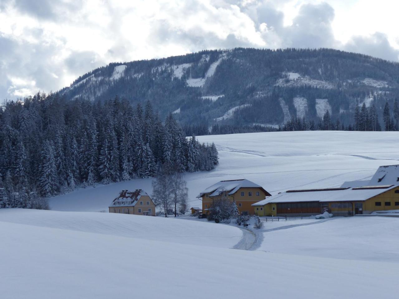 Ferienhaus Wohleser Mariahof Exterior foto